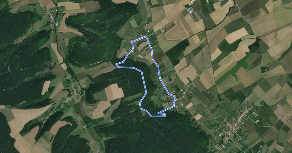 Маршрут De la forêt à la vigne на спутниковом снимке