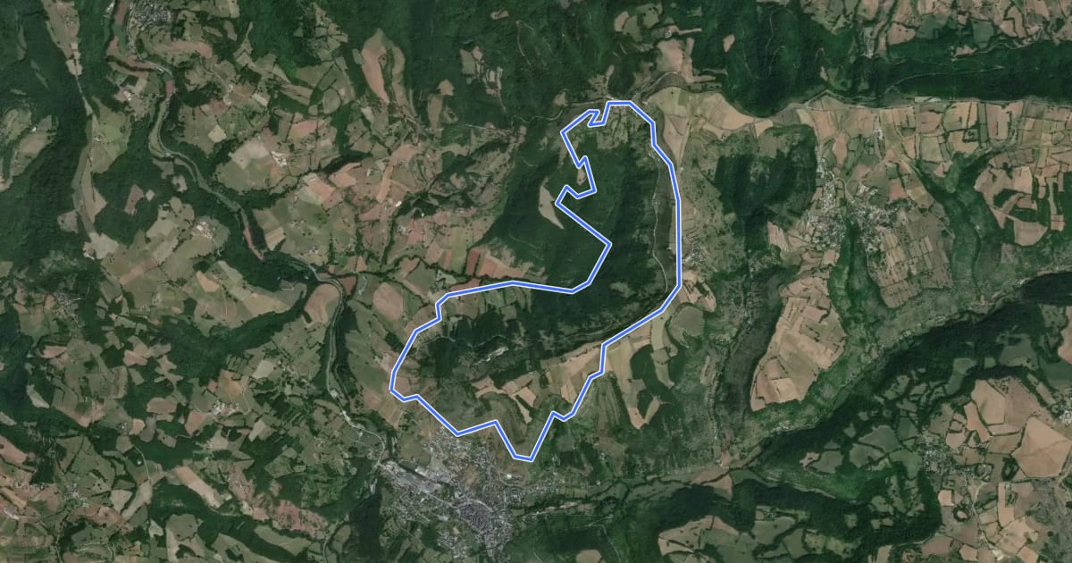 Маршрут De la Vigne à la Forêt на спутниковом снимке