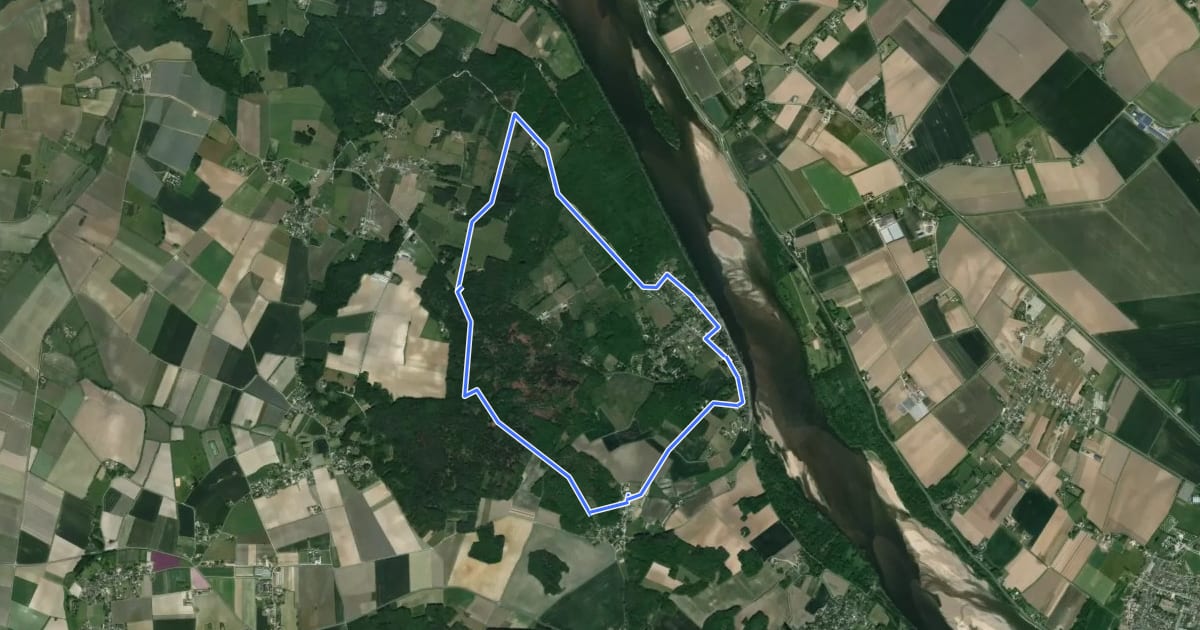 Маршрут De Loire et Forêt на спутниковом снимке