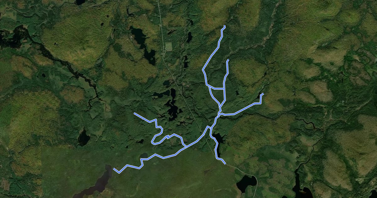 Маршрут Debar Mountain Wild Forest на спутниковом снимке
