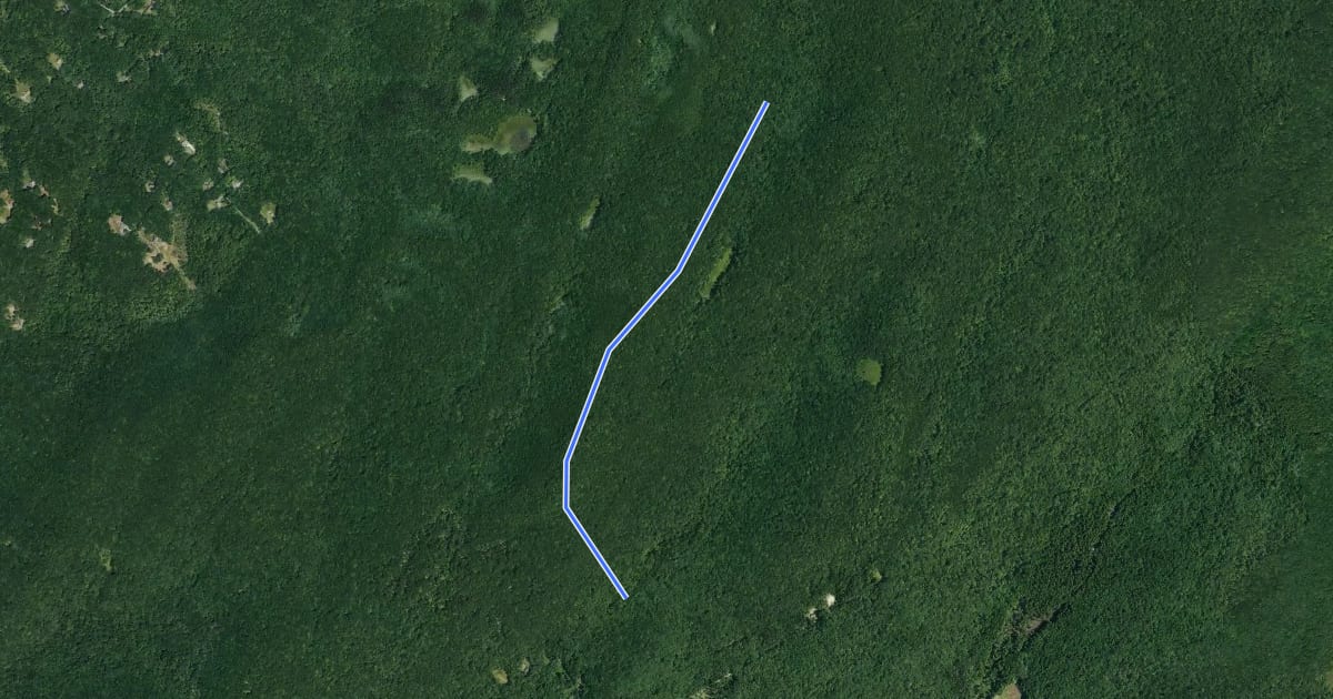 Маршрут Deep Root Trail на спутниковом снимке