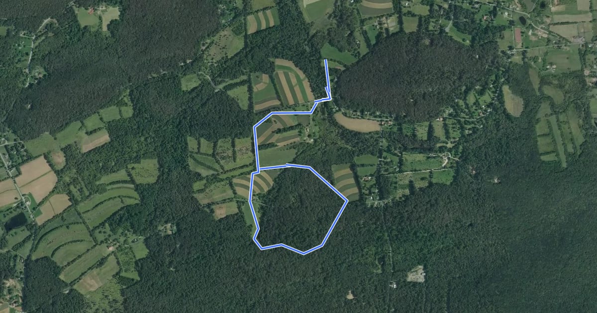 Маршрут Deep Woods Trail на спутниковом снимке