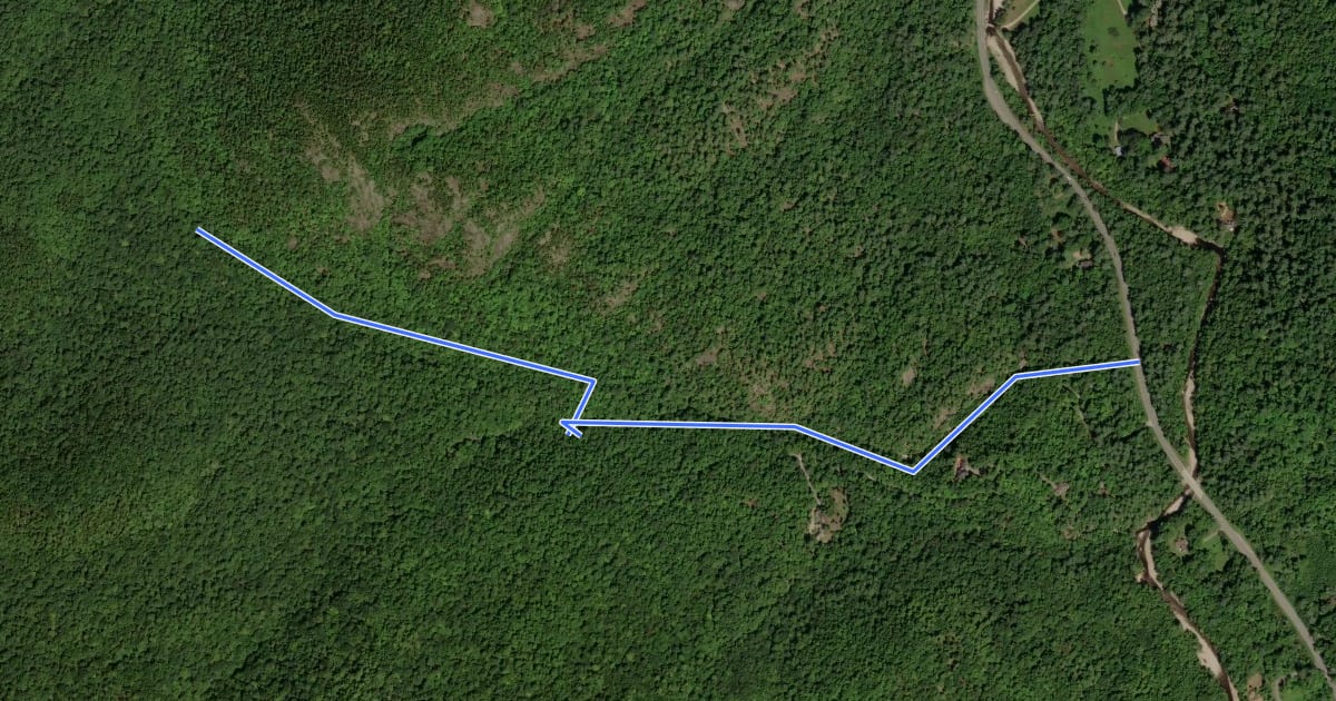 Маршрут Deer Brook Trail на спутниковом снимке