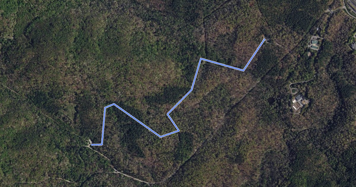 Маршрут Deer Lake Lodge Trail на спутниковом снимке