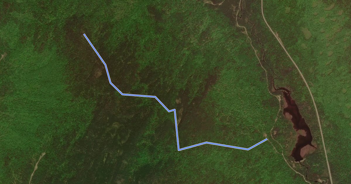 Маршрут Deer Mountain Firetower на спутниковом снимке