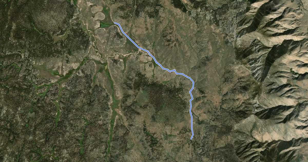 Маршрут Deer Mountain Trail на спутниковом снимке