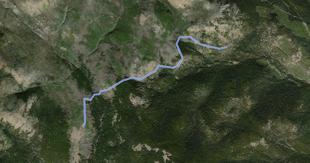 Маршрут Deer Park Trail на спутниковом снимке