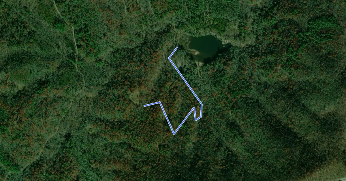 Маршрут Deerfield Loop Trail на спутниковом снимке