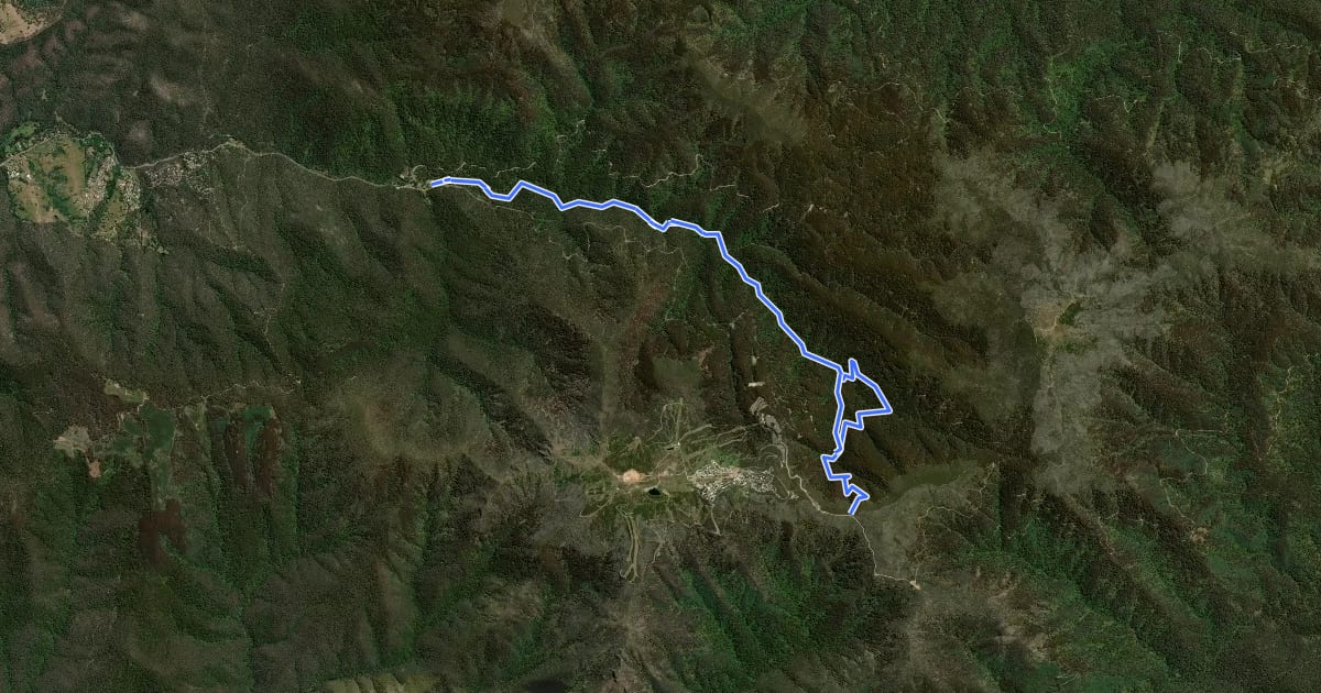 Маршрут Delatite River Trail на спутниковом снимке