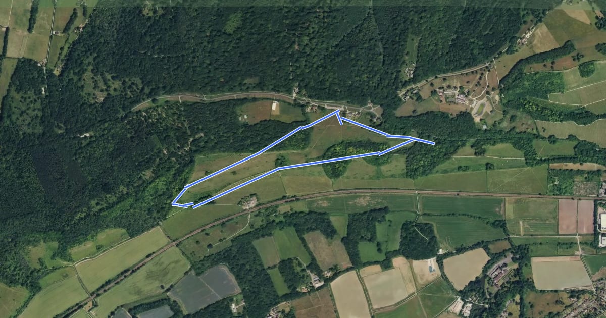 Маршрут Denbies Hillside Nature Walk, North Downs West на спутниковом снимке