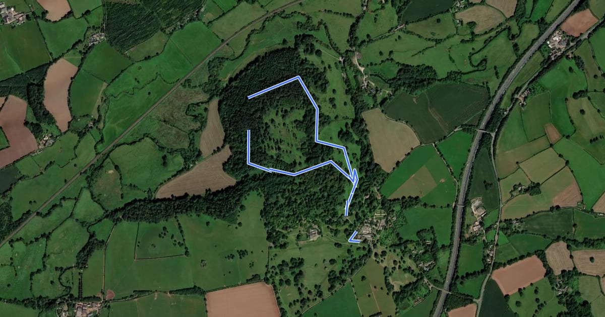 Маршрут Deodar Glen Walk, Killerton на спутниковом снимке
