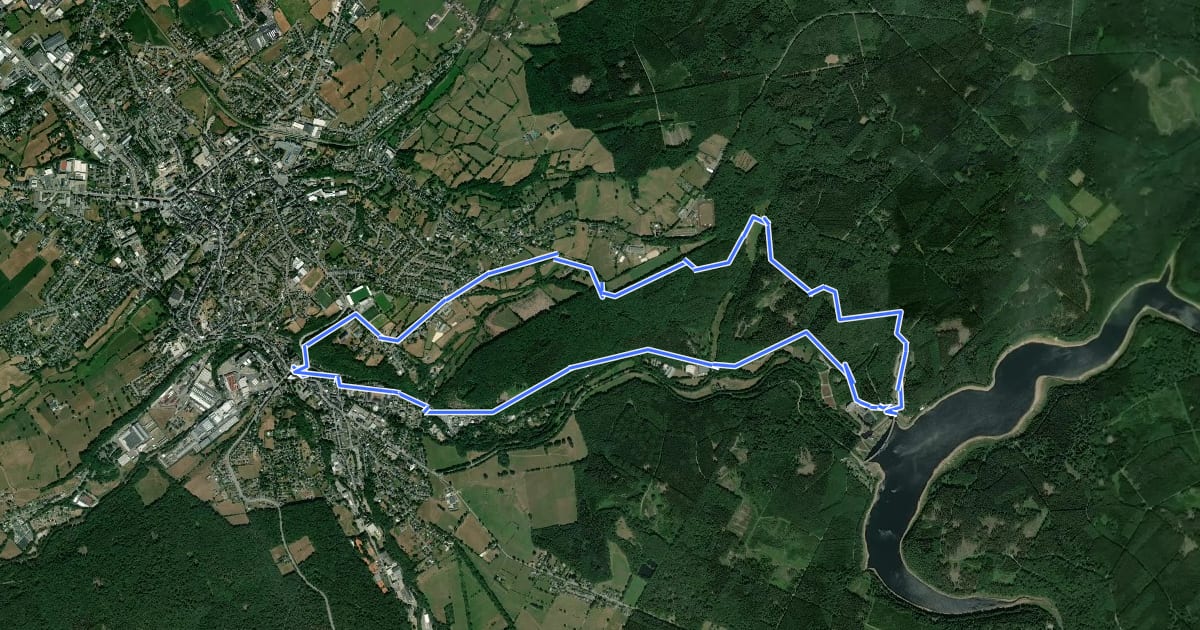 Маршрут Der Talsperrenweg на спутниковом снимке