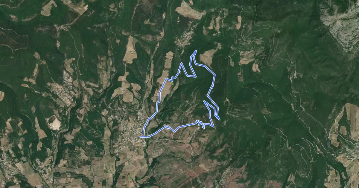 Маршрут Des bois de Homs et de Latuder на спутниковом снимке