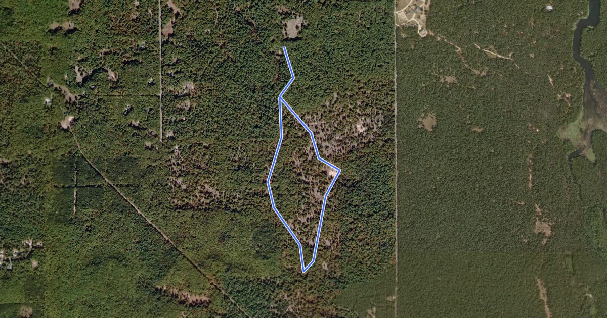 Маршрут Desert Loop Horse Trail на спутниковом снимке