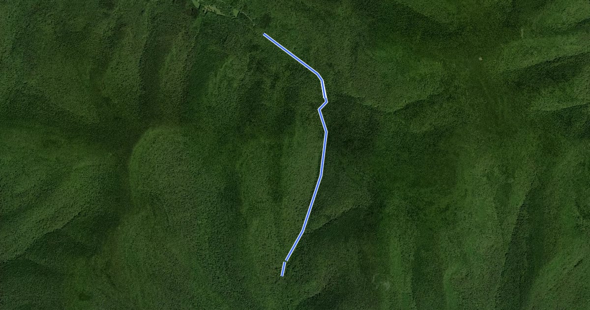 Маршрут Diamond Notch Trail на спутниковом снимке