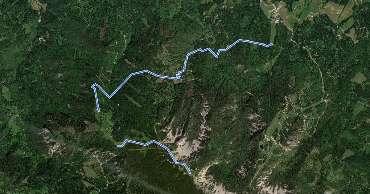 Маршрут Dickenbergsteig на спутниковом снимке