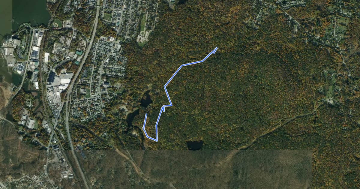 Маршрут Dickey Brook Trail на спутниковом снимке