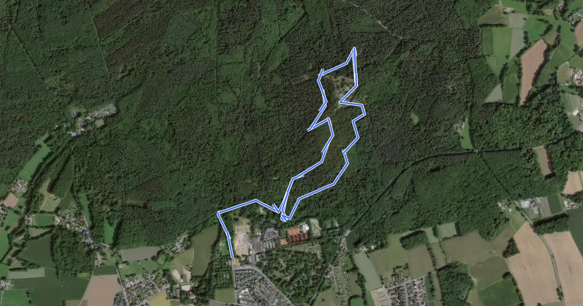 Маршрут Die Haard - Stimberg (kurzer Rundweg) на спутниковом снимке