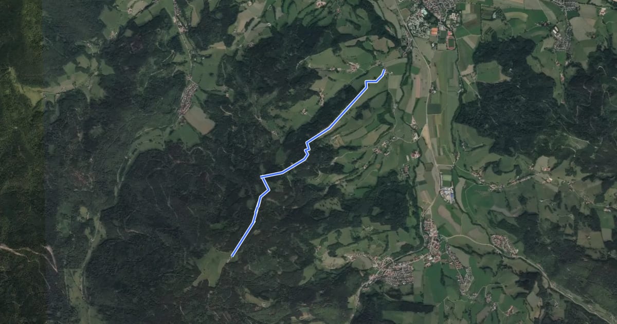Маршрут Dietenbach Jungbauernhof - Rappeneck на спутниковом снимке