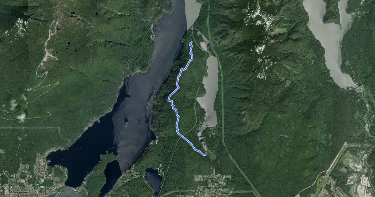 Маршрут Diez Vistas Trail на спутниковом снимке