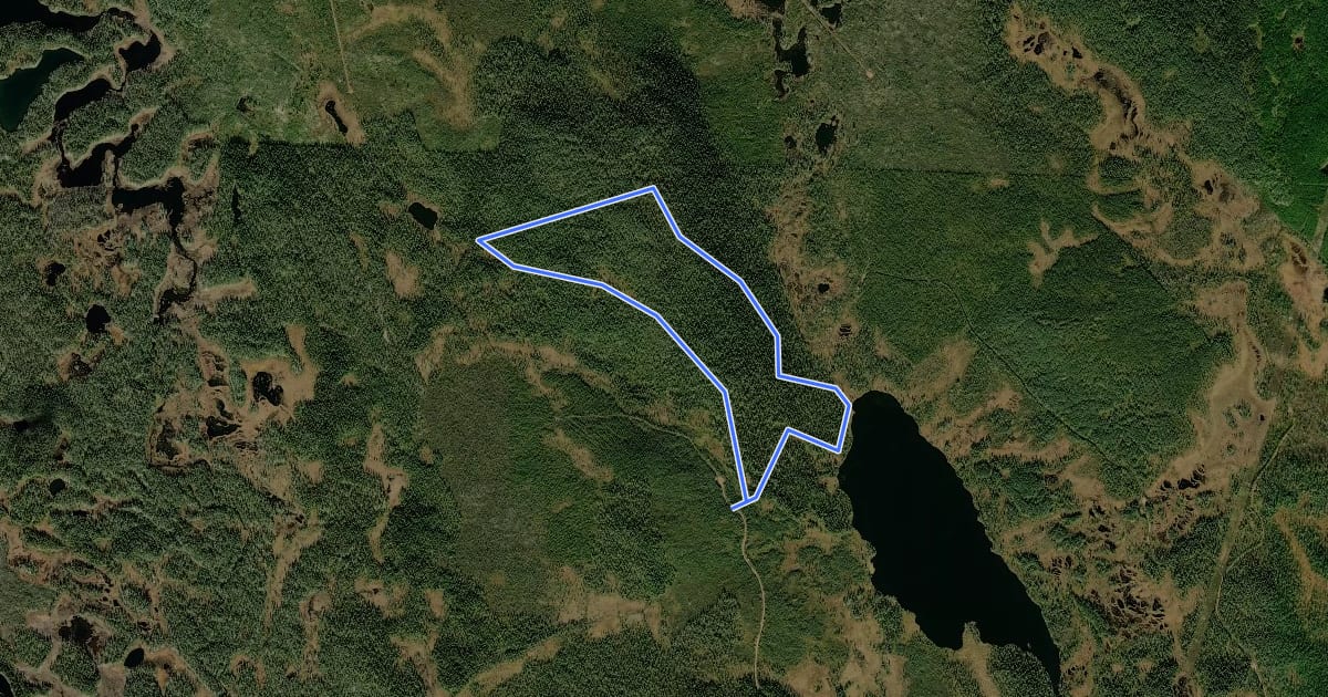 Маршрут Digerbergslingan на спутниковом снимке