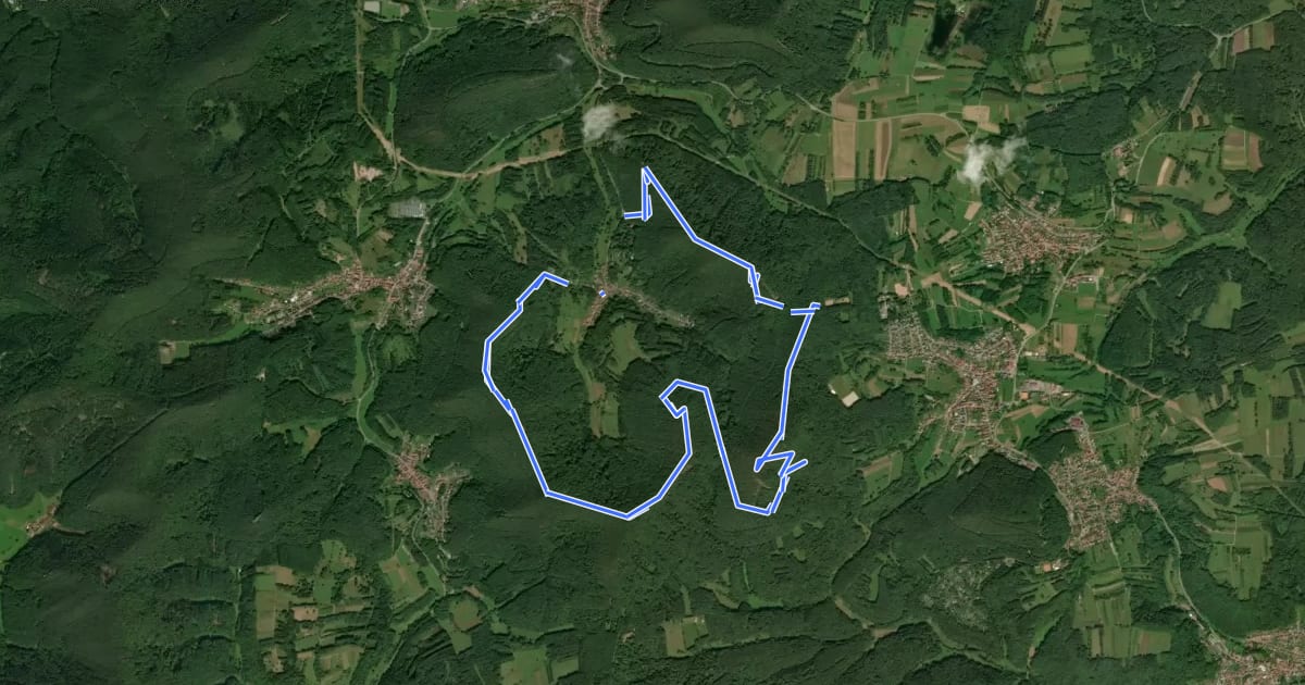 Маршрут Dimbacher Buntsandstein-Höhenweg (Premium-Wanderweg) на спутниковом снимке