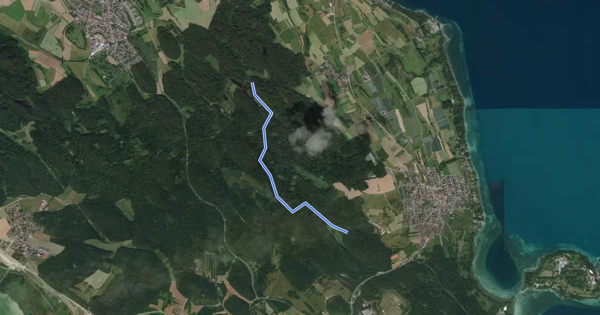 Маршрут Dingelsdorfer Ried - Am Mühlweiher на спутниковом снимке