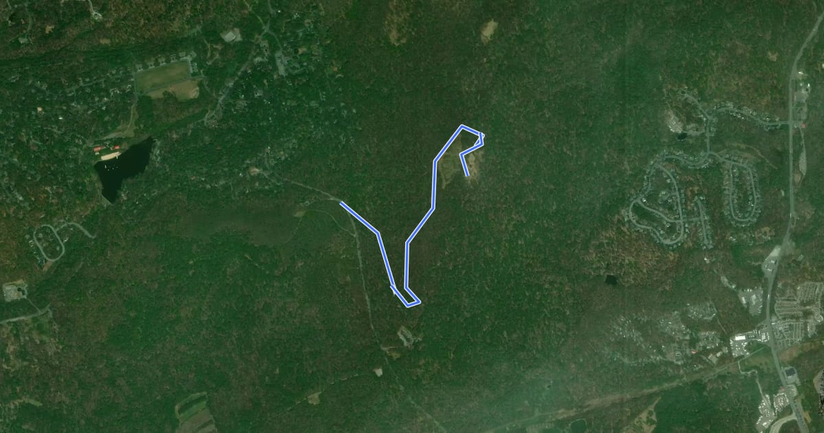 Маршрут Dinkey Track Trail на спутниковом снимке