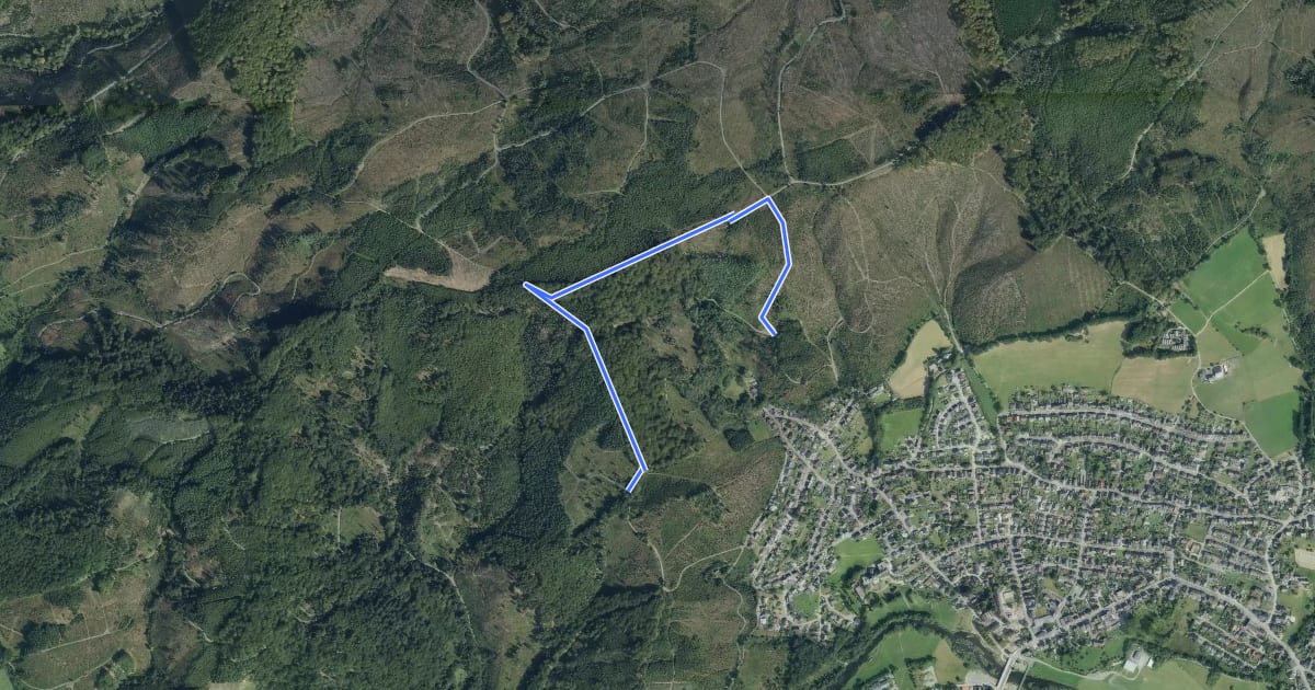 Маршрут Dinschede Rundweg A3 на спутниковом снимке