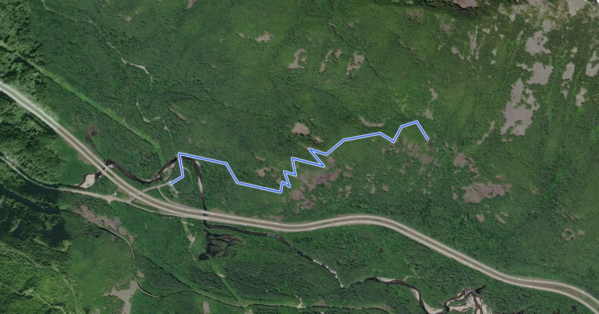 Маршрут Dirty Harry's Balcony Trail на спутниковом снимке