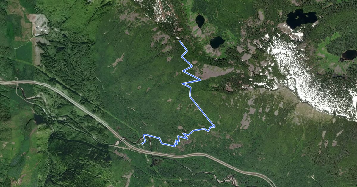 Маршрут Dirty Harry's Peak Trail на спутниковом снимке