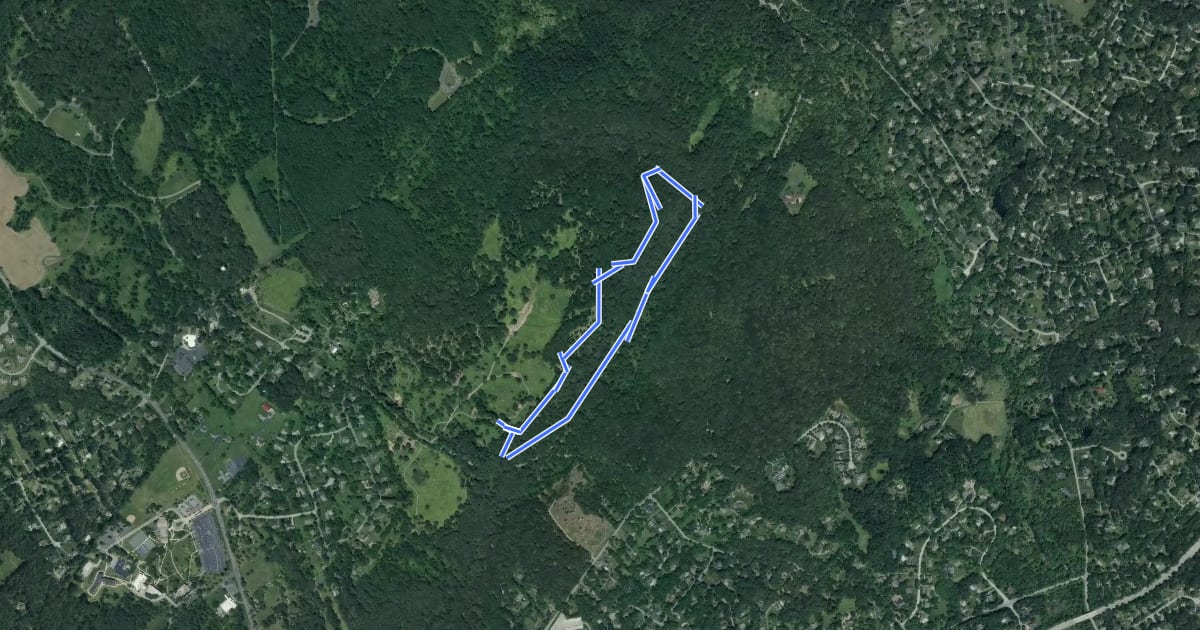 Маршрут Dismal Run Trail на спутниковом снимке