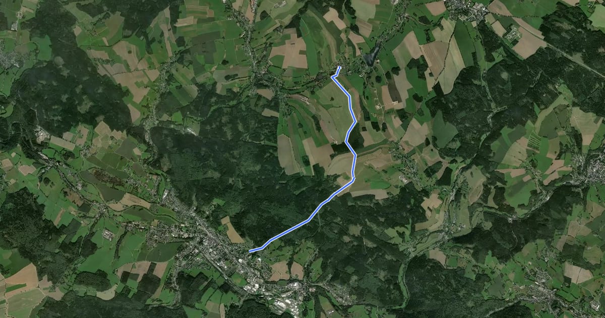 Маршрут Dittmannsdorf-Olbernhau на спутниковом снимке