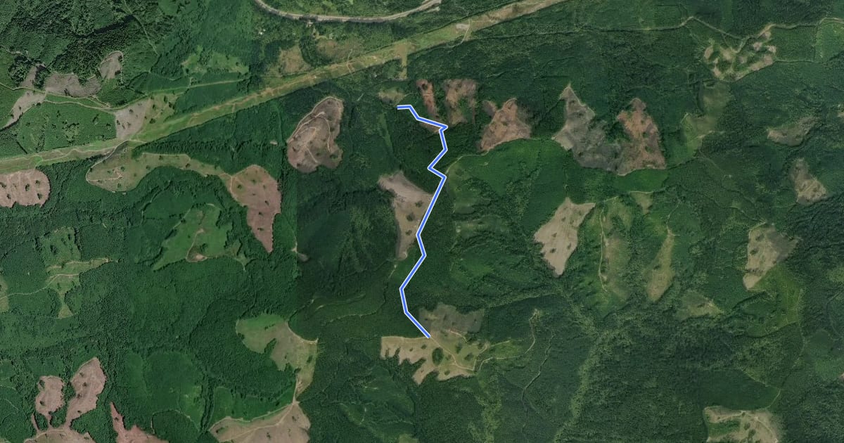 Маршрут Divide Trail North на спутниковом снимке