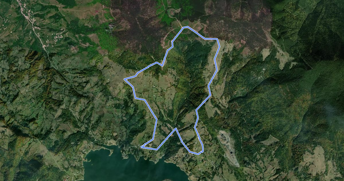Маршрут DJ172D Colibița - Piciorul Borii - Pripoare - Șaua Tomnatec - Poiana Andreichii - DJ 172D Colibița на спутниковом снимке