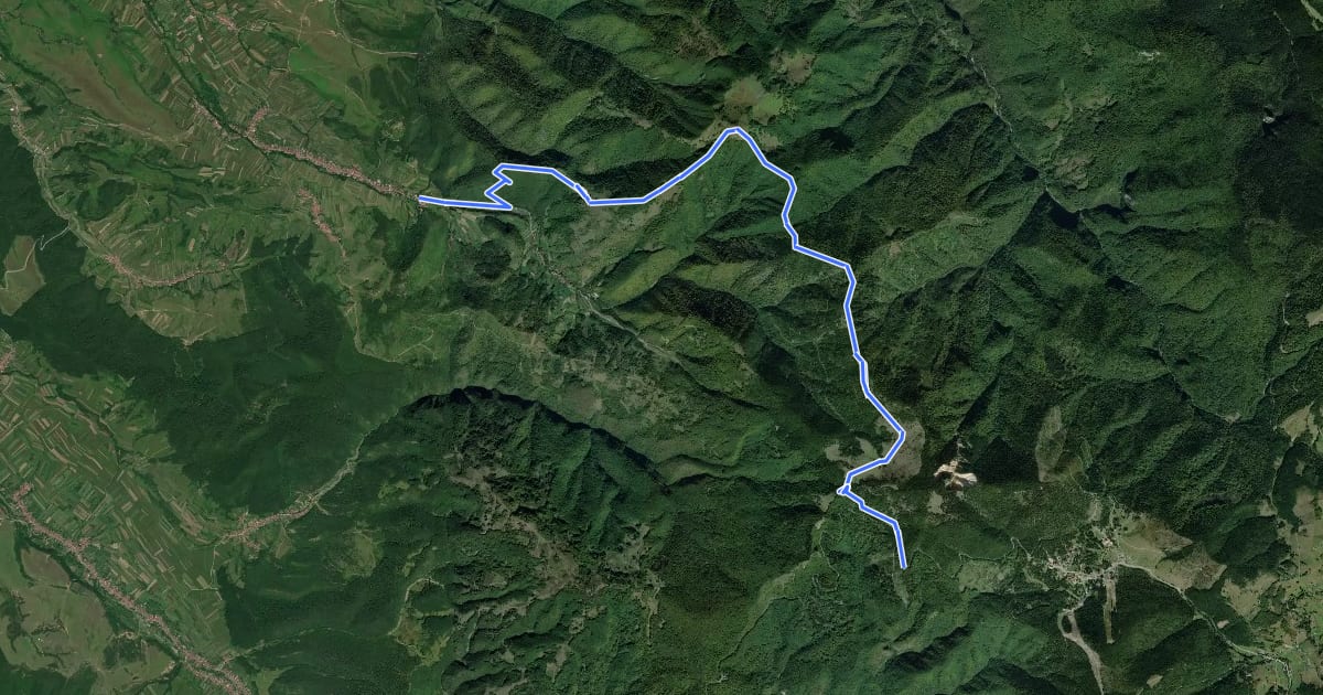 Маршрут DN75 ("Calea Fusului") - Vf. Tătăroaia - sat Chișcău на спутниковом снимке