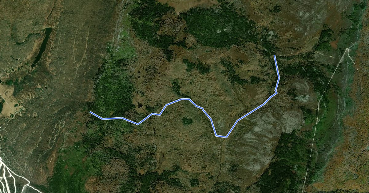Маршрут Dobbin Grade Trail на спутниковом снимке