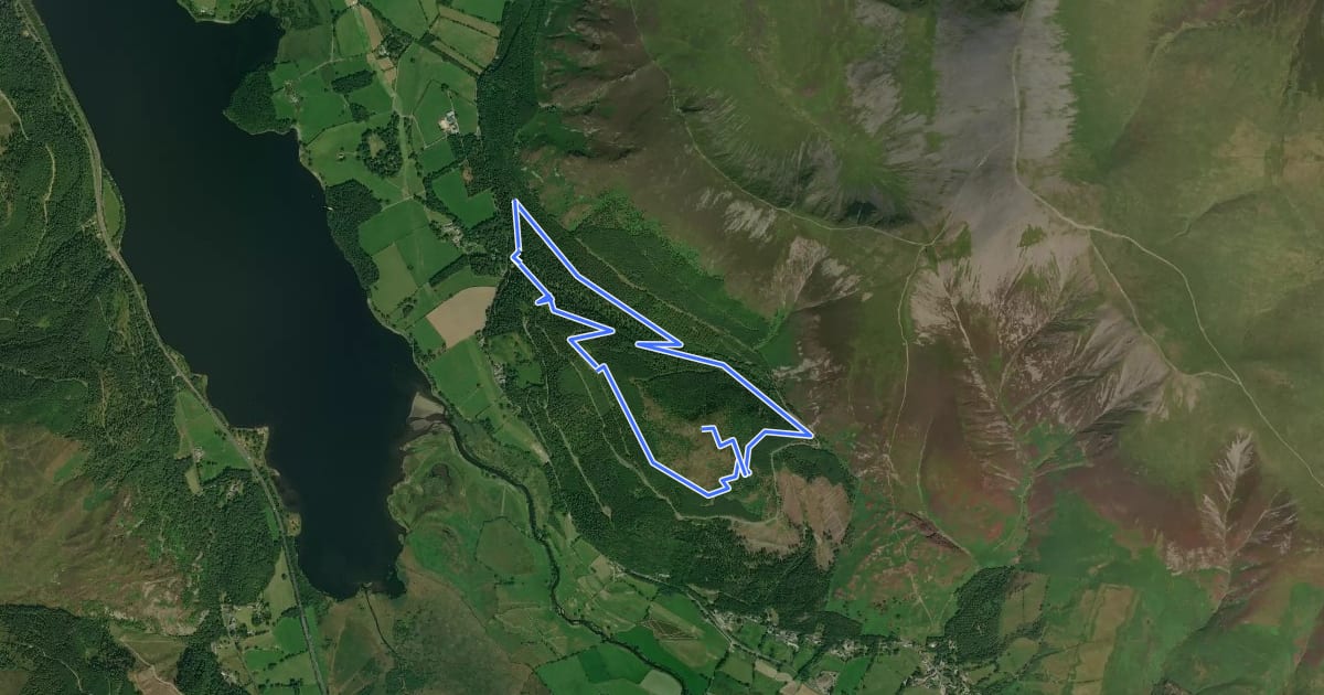 Маршрут Dodd Summit Trail на спутниковом снимке
