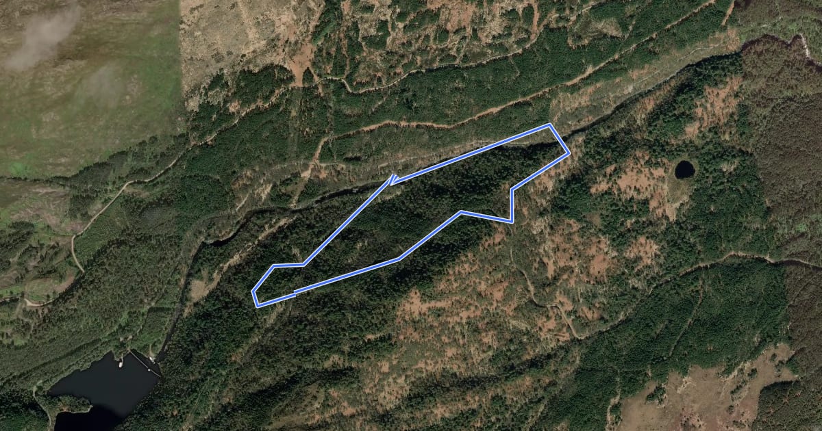 Маршрут Dog Falls Trail на спутниковом снимке