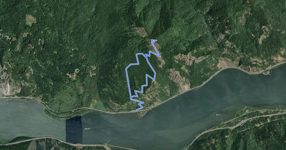 Маршрут Dog Mountain Trail на спутниковом снимке
