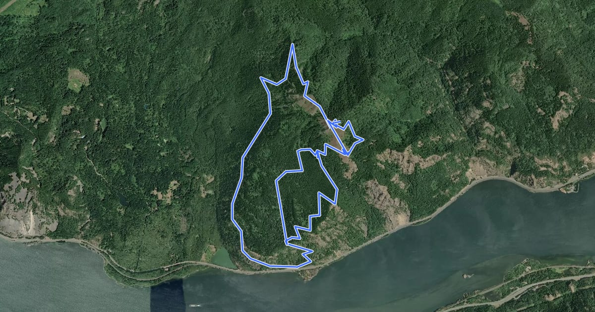 Маршрут Dog Mountain Trails на спутниковом снимке