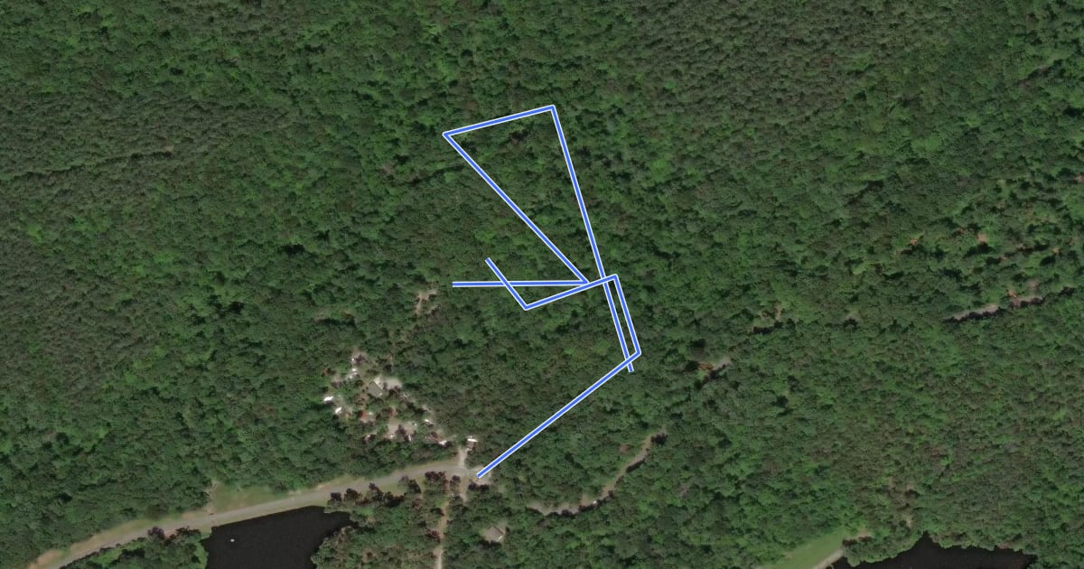 Маршрут Dogwood Hollow Trail на спутниковом снимке