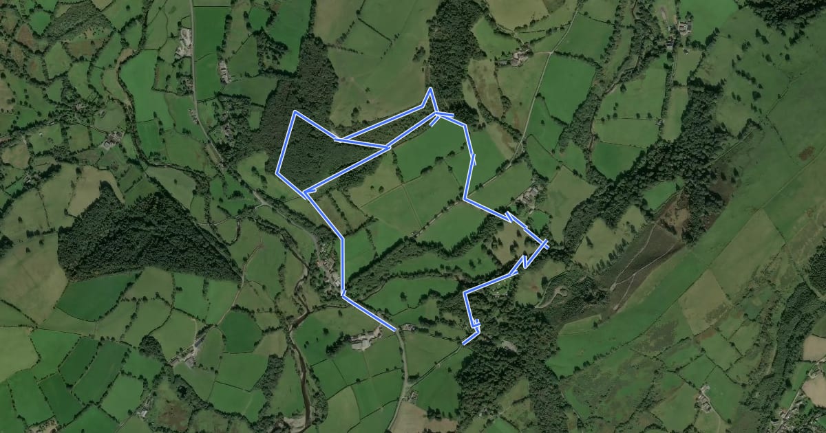 Маршрут Dolaucothi Woodland Trail, Dolaucothi на спутниковом снимке