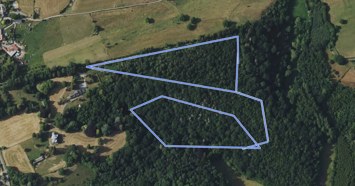 Маршрут Domaine de Tribomont jaune на спутниковом снимке