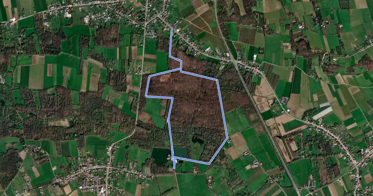 Маршрут Domeinwandeling на спутниковом снимке