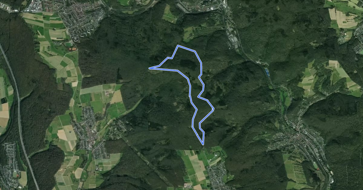 Маршрут Domherrnwald: Keiler на спутниковом снимке