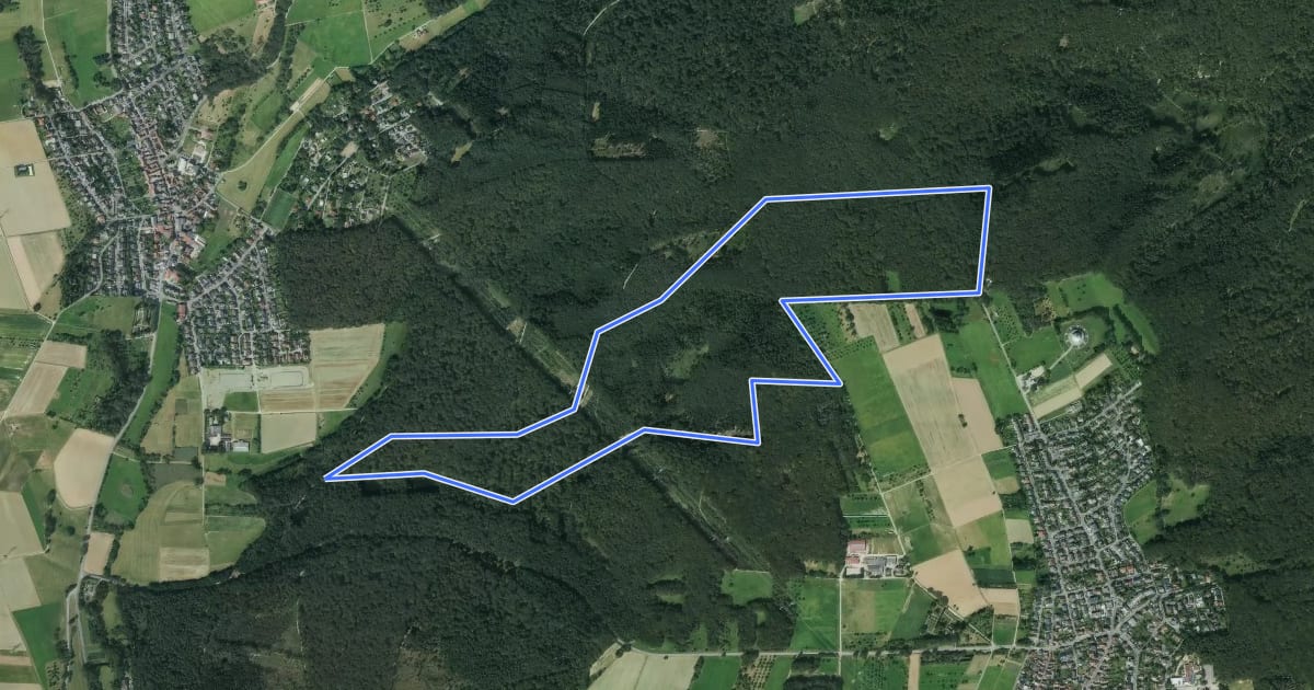 Маршрут Domherrnwald: Lindenblatt на спутниковом снимке