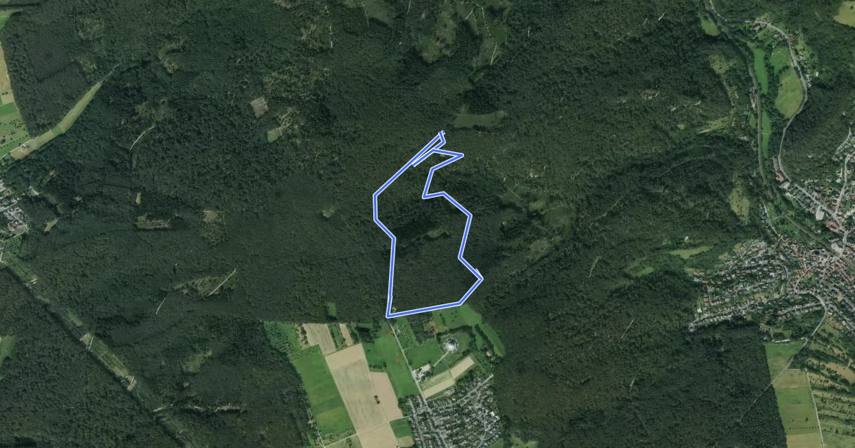 Маршрут Domherrnwald: Rehbock на спутниковом снимке