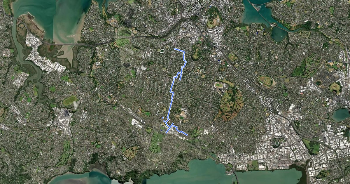 Маршрут Dominion Road East Safe Cycle Route на спутниковом снимке
