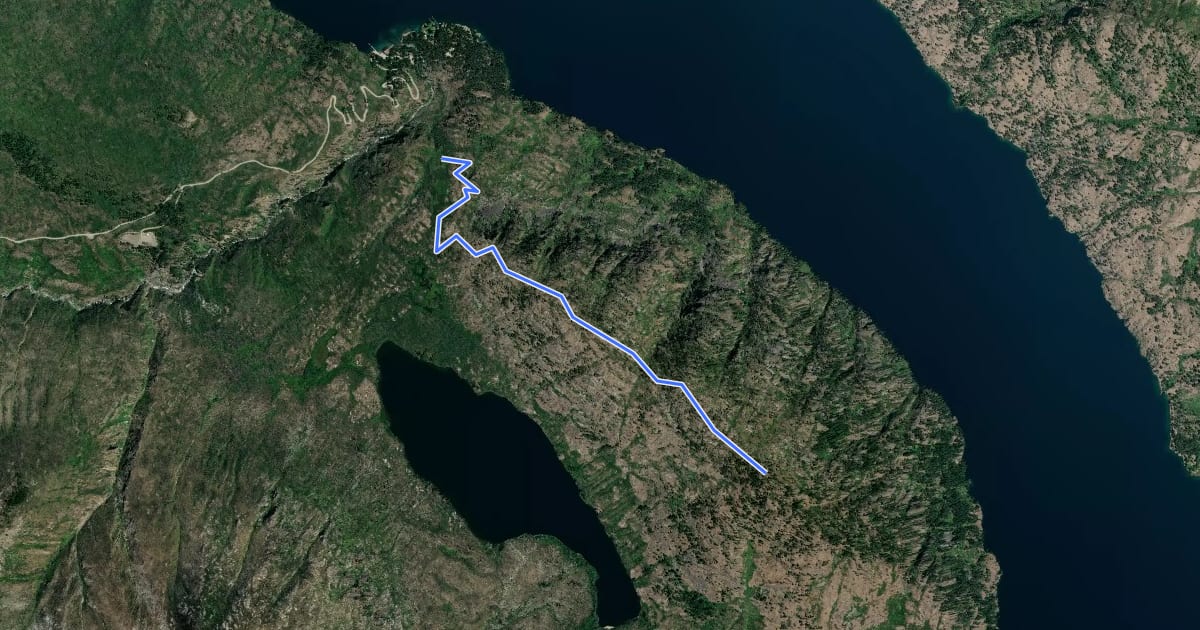 Маршрут Domke Mountain Lookout Trail на спутниковом снимке